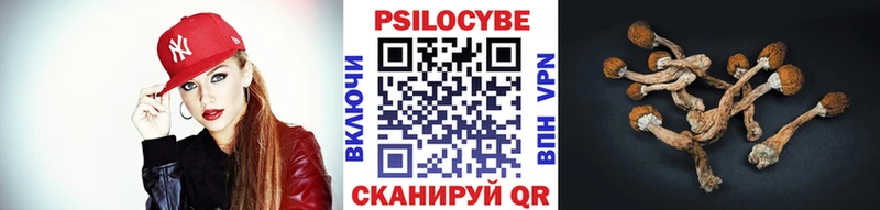 как найти закладки  Петропавловск-Камчатский  Псилоцибиновые грибы Magic Shrooms 